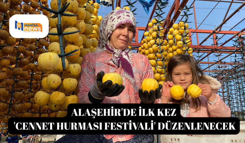 Alaşehir'de ilk kez 'Cennet Hurması Festivali' düzenlenecek