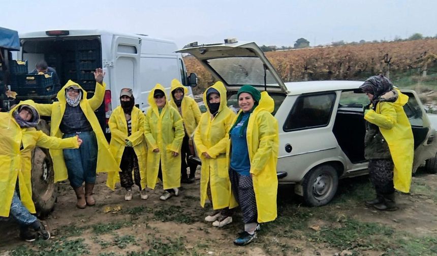 İşçiler yağmur ve çamuru aldırış etmeden üretime devam ediyor