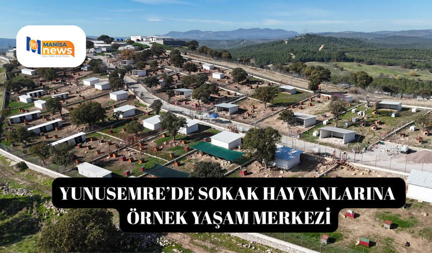 Yunusemre’de sokak hayvanlarına örnek yaşam merkezi