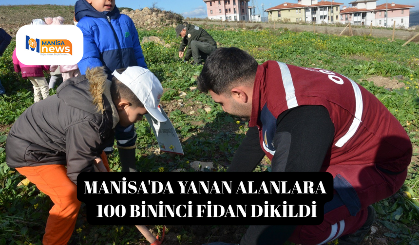 Manisa'da yanan alanlara 100 bininci fidan dikildi