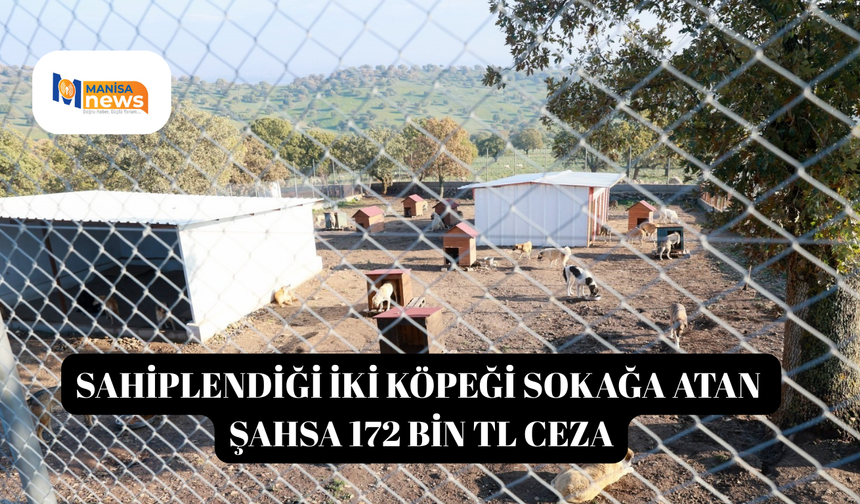 Sahiplendiği iki köpeği sokağa atan şahsa 172 bin TL ceza