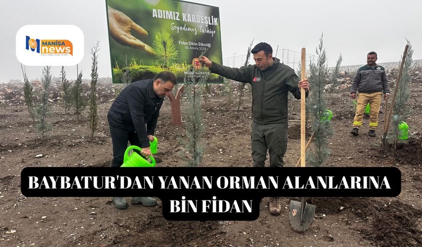 Baybatur'dan yanan orman alanlarına bin fidan