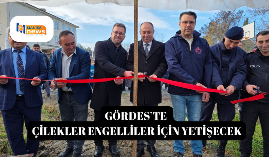 Gördes’te çilekler engelliler için yetişecek