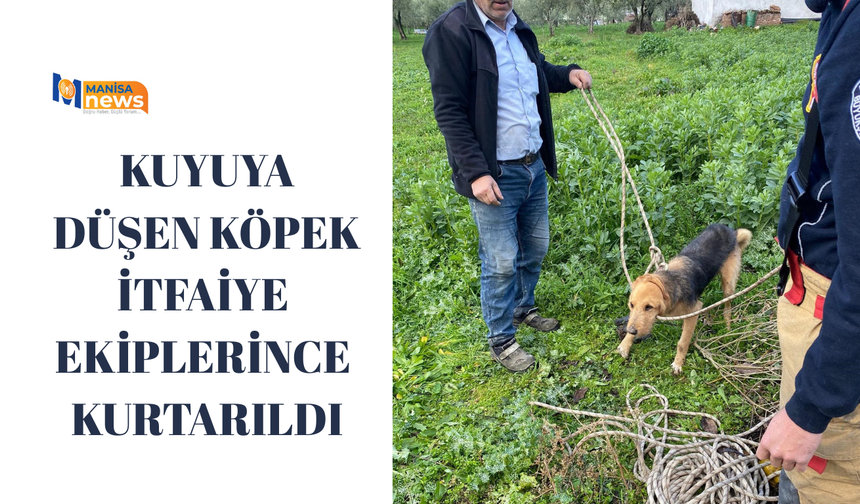 Kuyuya düşen köpek itfaiye ekiplerince kurtarıldı