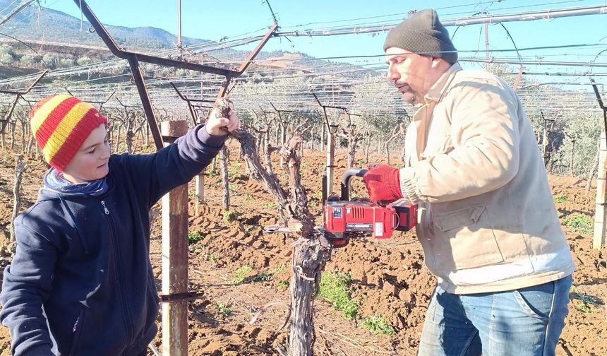 Üzüm üreticisi yenilik peşinde