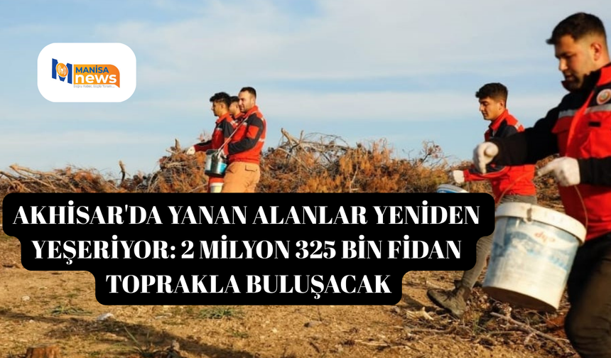 Akhisar'da yanan alanlar yeniden yeşeriyor: 2 milyon 325 bin fidan toprakla buluşacak