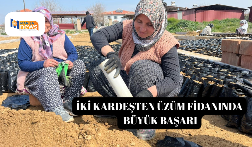 İki kardeşten üzüm fidanında büyük başarı
