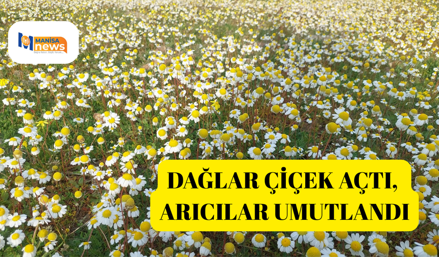 Dağlar çiçek açtı, arıcılar umutlandı