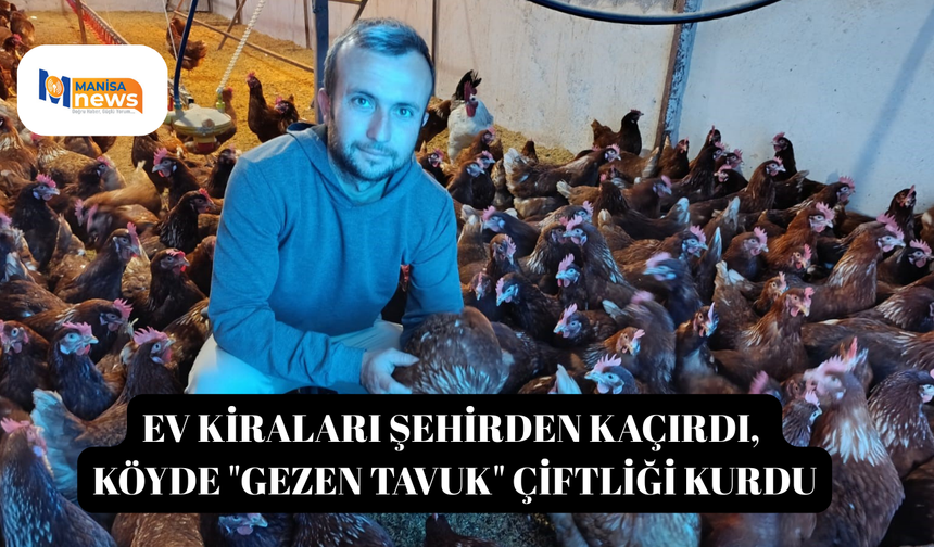 Ev kiraları şehirden kaçırdı, köyde "gezen tavuk" çiftliği kurdu