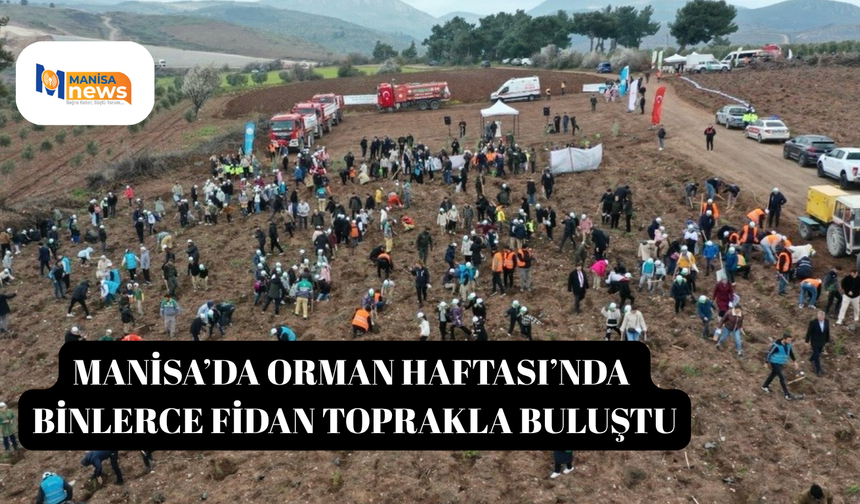 Manisa’da Orman Haftası’nda binlerce fidan toprakla buluştu