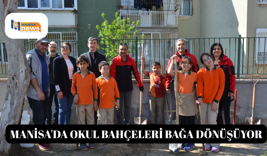 Manisa'da okul bahçeleri bağa dönüşüyor