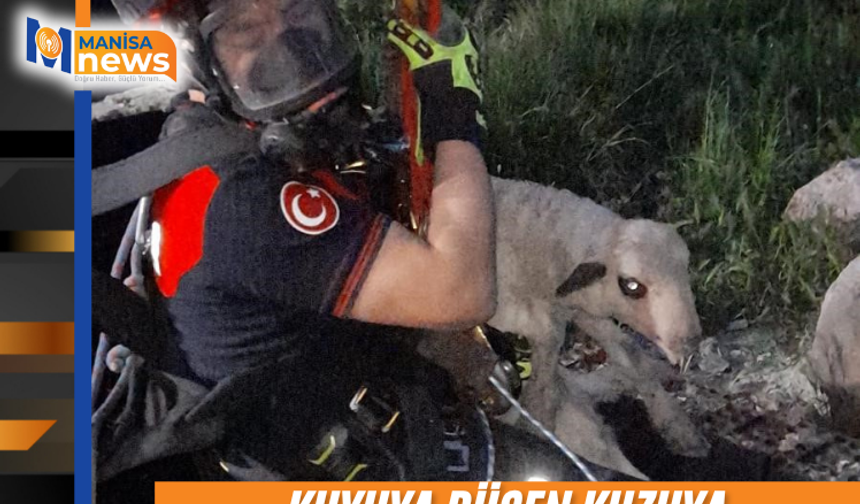 Kuyuya düşen kuzuya itfaiyeden nefes kesen kurtarma