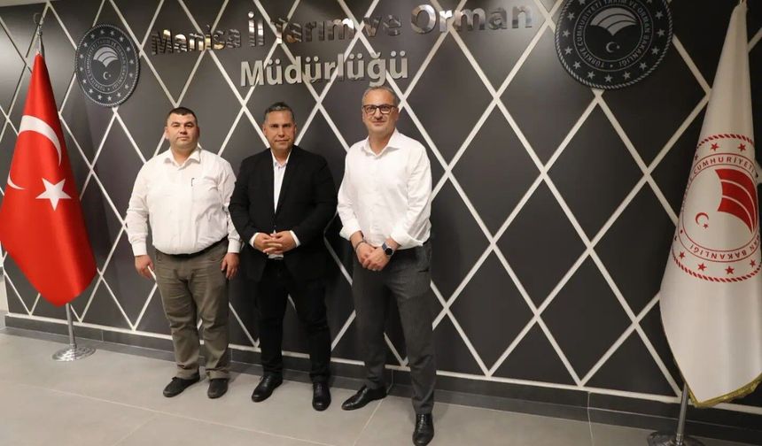 Köprübaşı tarımında nöbet değişimi