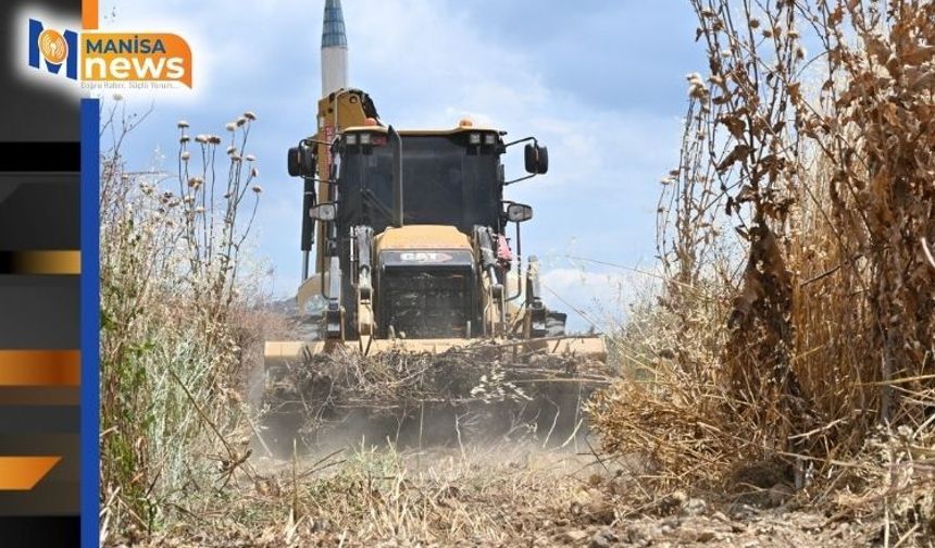 Manisa'da yangın riskine karşı yabani otlar temizleniyor