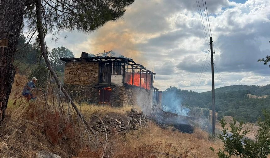 Ahırda çıkan yangın ormana sıçradı, büyümeden söndürüldü