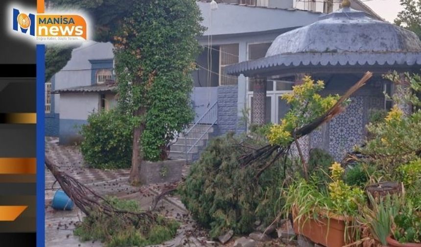 Kırkağaç'ta fırtına hayatı olumsuz etkiledi