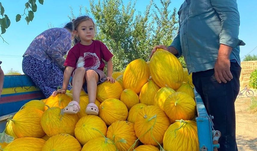 Sarıgöllü üreticiden "Kendi üret, kendi sat" hamlesi