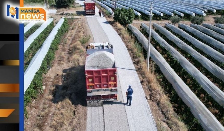 Üzüm hasadıyla birlikte üreticinin yolları da yenilenmeye başladı