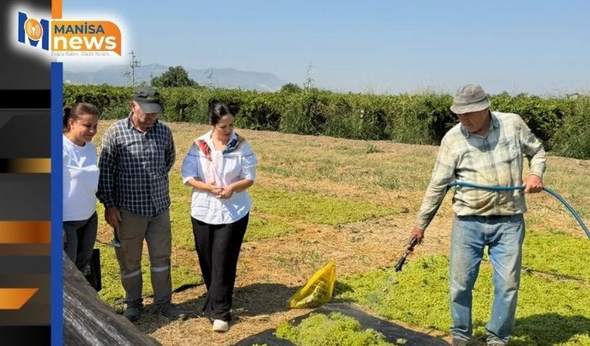İYİ PARTİ’DEN TARİŞ’İN 80 TL’LİK ÜZÜM FİYATINA TEPKİ: “EN AZ 145 TL’YE GÜNCELLENMELİ”