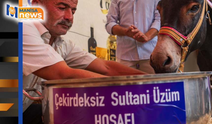 Eşek hoşafa direndi, ortaya renkli görüntüler çıktı