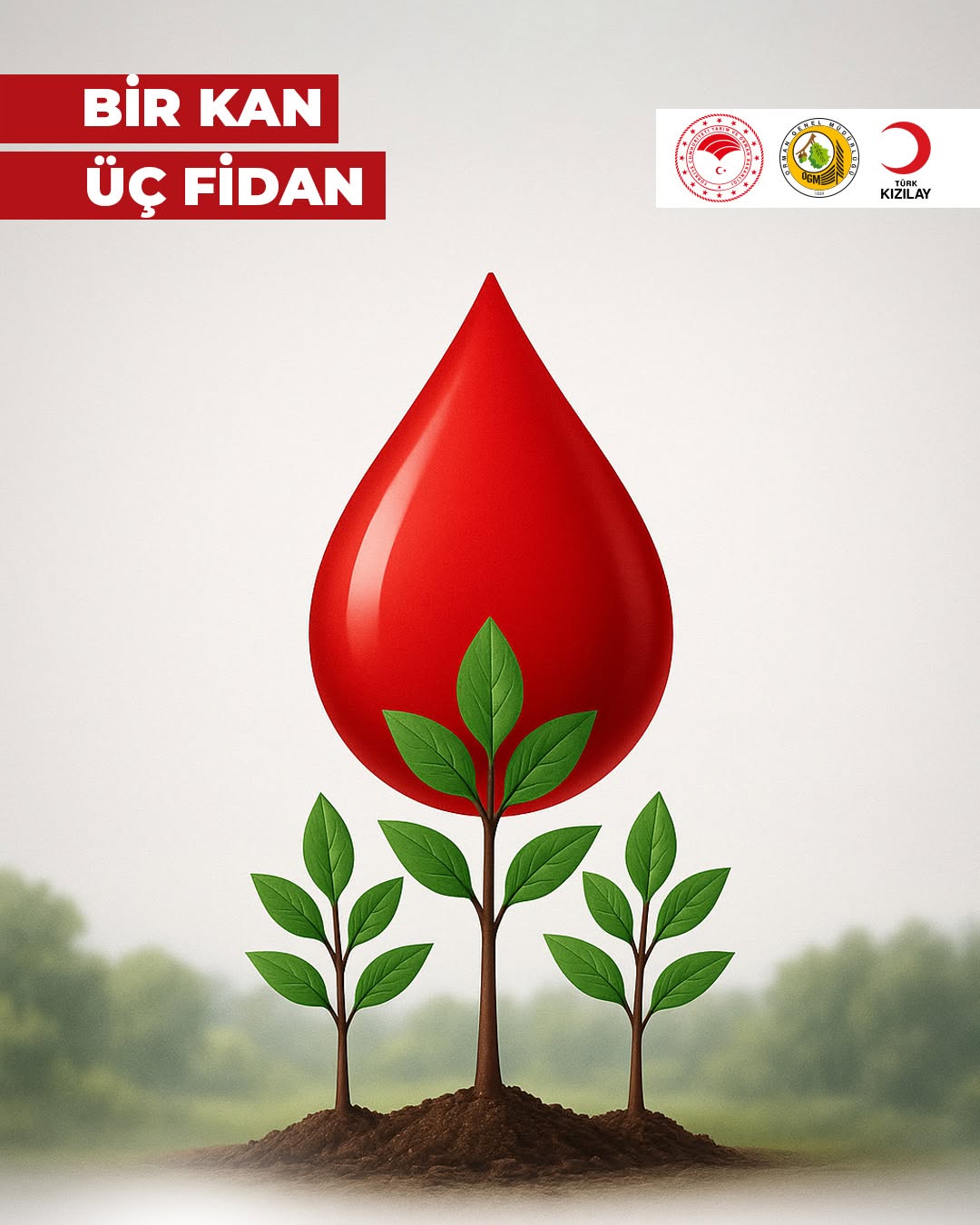 Whatsapp Görsel 2025 10 31 Saat 10.38.48 21D89F1C