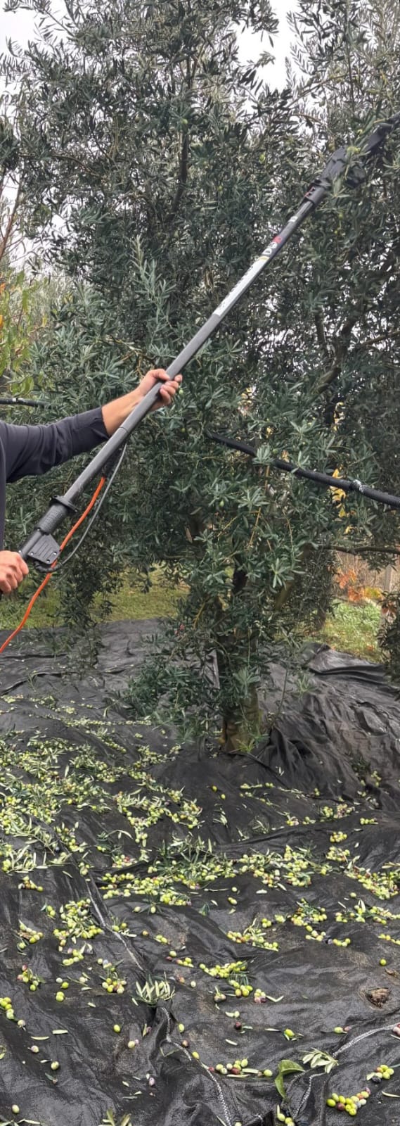 Whatsapp Görsel 2025 11 13 Saat 19.15.16 Ea64E0C1