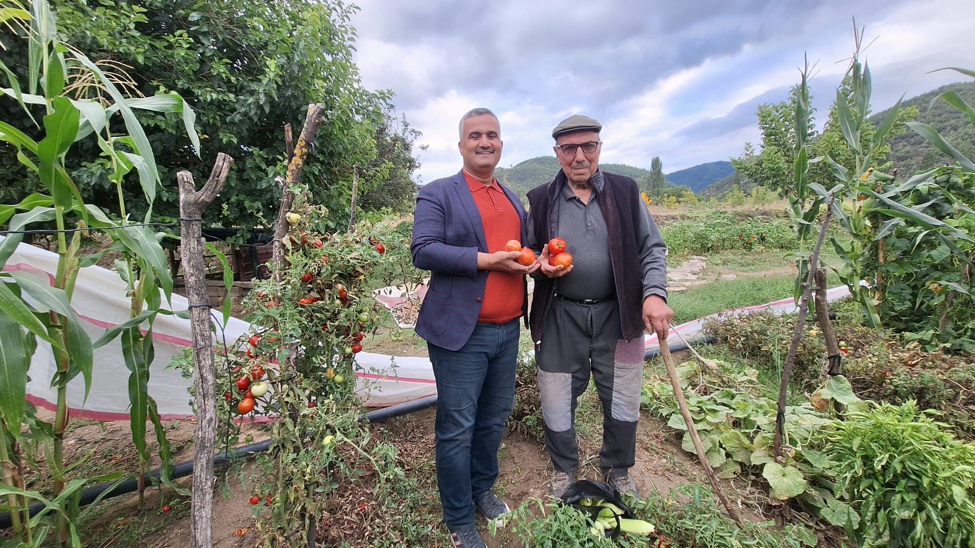 Dededen kalan domates tohumunu geleceğe taşıyor
